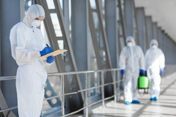 Professional Mold Removal in Granbury, TX